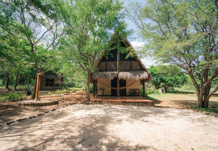 hotel-de-playa-bungalow-superior-14